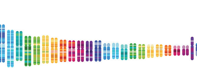 23andme Results
