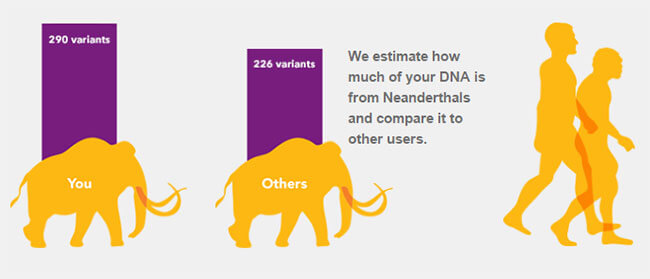 23andme Understanding The Results