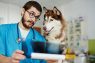 Best Dog DNA Tests Of 2017