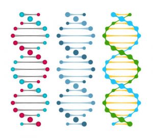 Different DNA test