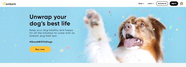 Embark Homepage