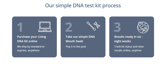 LivingDNA Testing Process