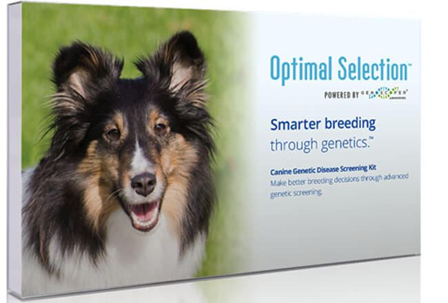 Wisdom Panel Optimal Selection Canine