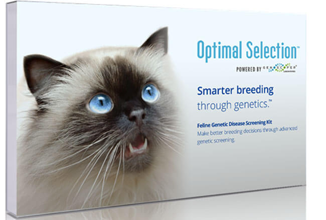 Optimal Selection Feline Front