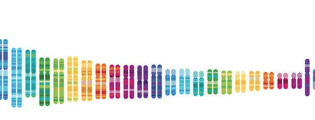 Results 23andme