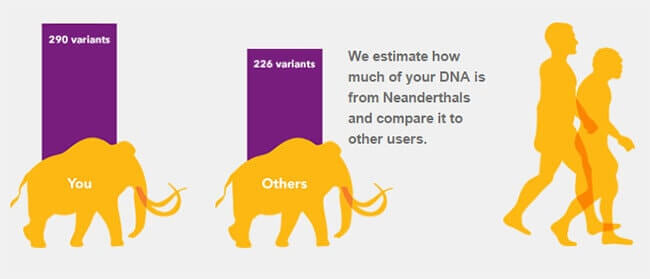 Understanding The Results 23andme