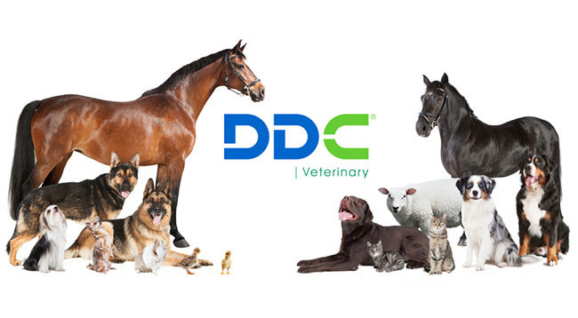 Why Choose DDC Veterinary