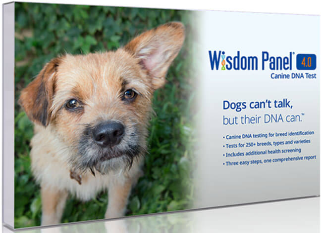 Wisdom Panel 4.0