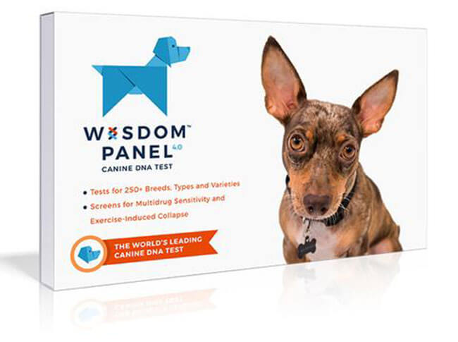 Wisdom Panel 4