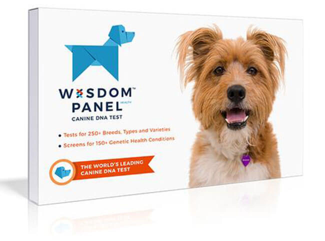 Wisdom Panel Health