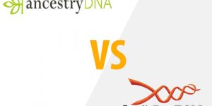 ancestrydna vs familytreedna