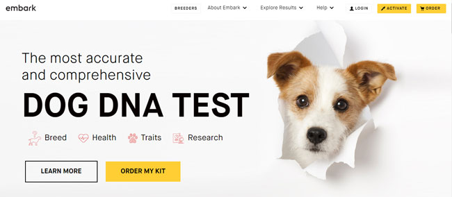 embarkvet homepage