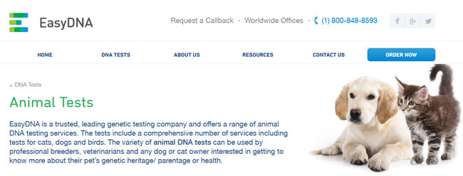 EasyDNA Animal homepage