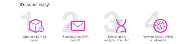 How MyHeritage Works