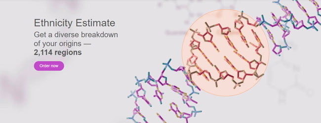 MyHeritage Ethnicity Estimate