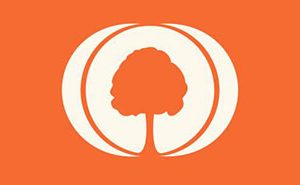 MyHeritage Review