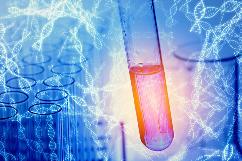 dog-dna-test-cost-top-10-dna-tests