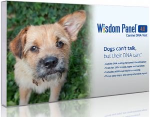 Wisdom Panel Accuracy