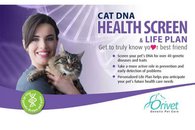 best home dna cat test