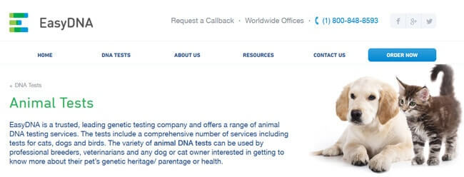 homepage EasyDNA Animal