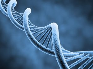 Home DNA Testing Myths Debunked