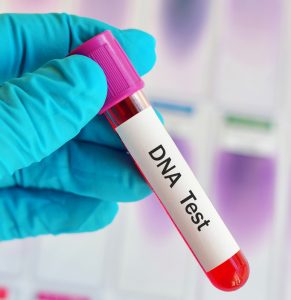 How Paternity Testing Works