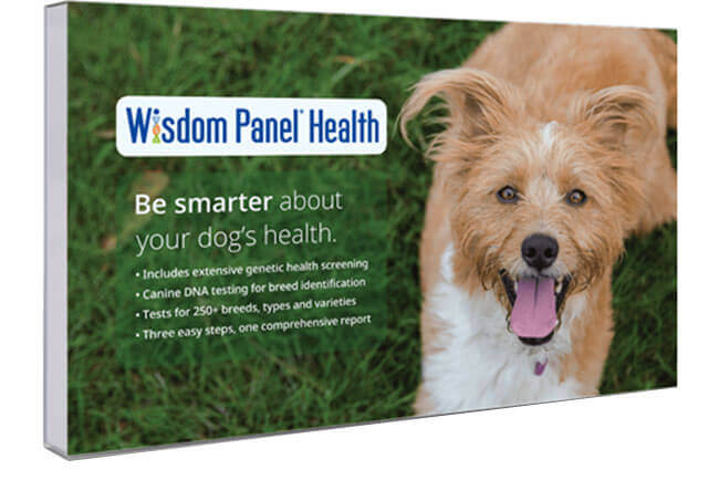 Wisdom Panel Cost