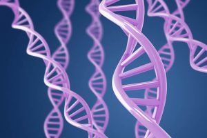 At-Home DNA Tests – Error Margins