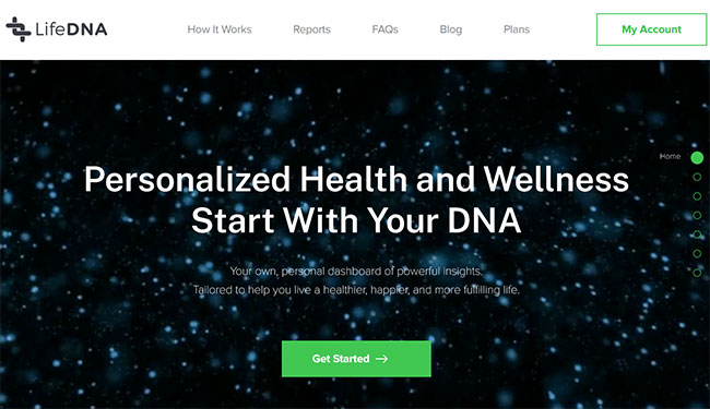 LifeDNA Review homepage