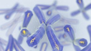 What Can We Learn From Our Telomeres