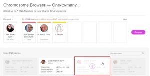 MyHeritage Chromosome-Browser