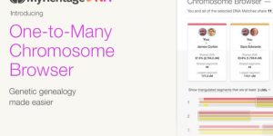 MyHeritage DNA Upgrades Its Chromosome Browser