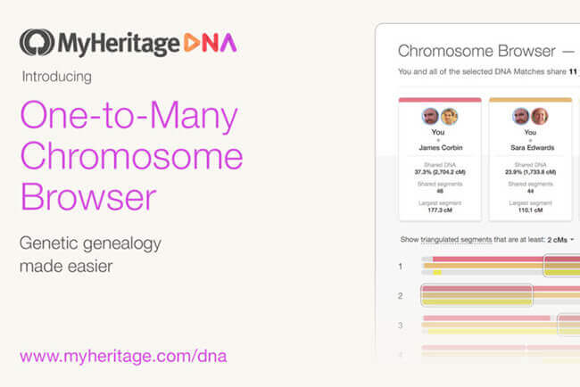 MyHeritage DNA Upgrades Its Chromosome Browser