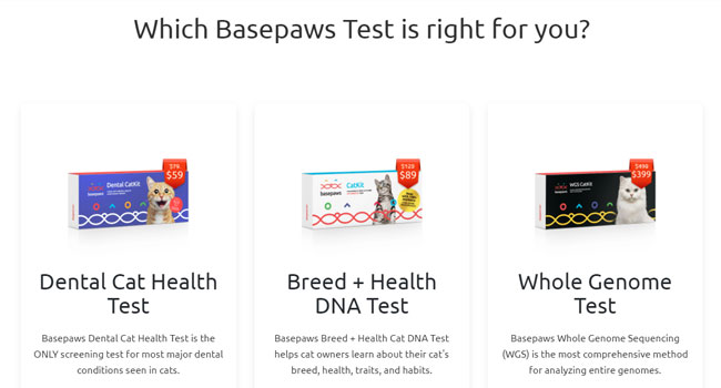 Basepaws Cat DNA Tests