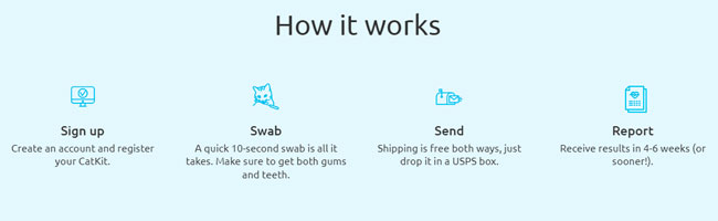 Basepaws How It Works