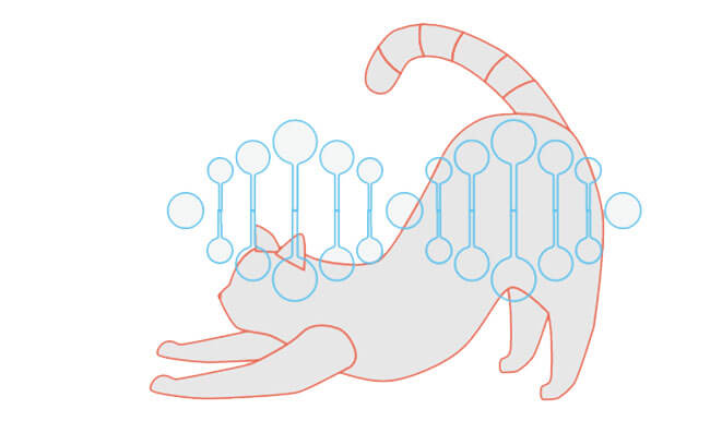 Basepaws Tests