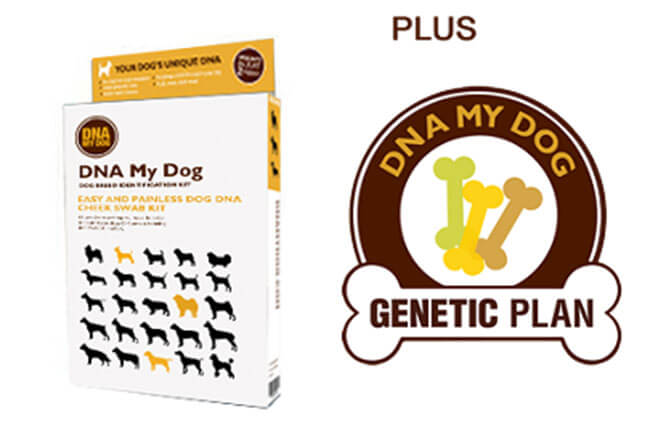 DNA My Dog test