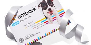 Embark Dog DNA Test Is This Year Oprah Favorite Things