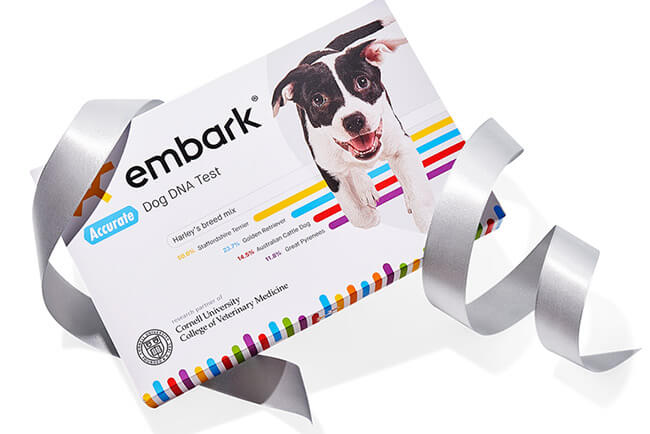 Embark Dog DNA Test Is This Year Oprah Favorite Things 