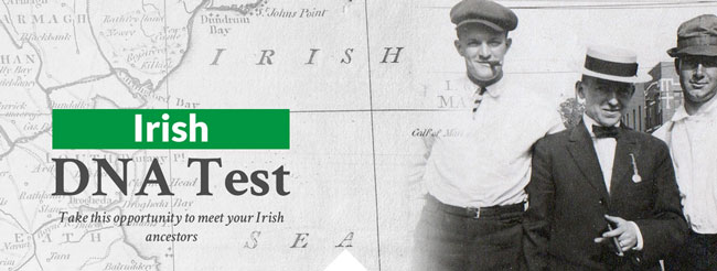 DNA-Consultants Irish DNA Test