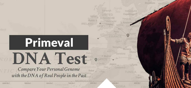 DNA-Consultants Primeval Test 