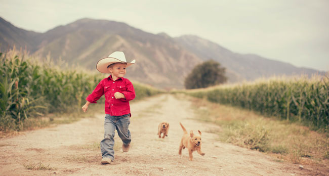 Paw-Print-Genetics a little boy with his dogs in the field of corn