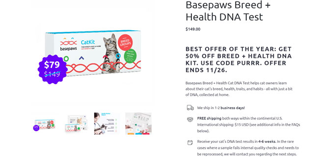 Basepaws Black Friday