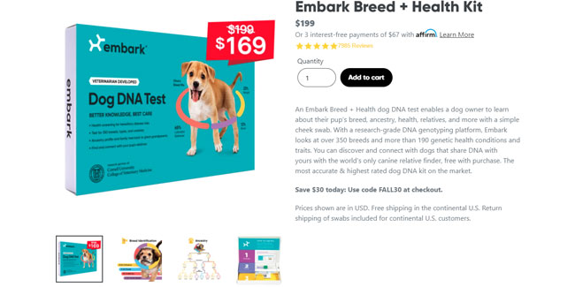 Embark Black Friday